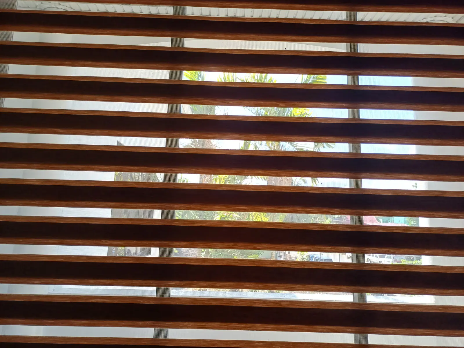Rèm sáo gỗ Basswood nan 50mm